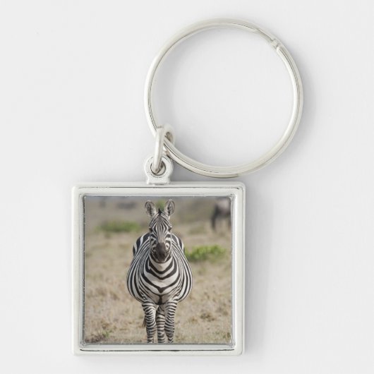 Zebra 2 sleutelhanger (Voorkant)