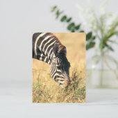 Zebra 2 van Burchell Briefkaart (Staand voorkant)