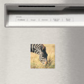 Zebra 2 van Burchell Magneet (Insitu (Vaatwasser))
