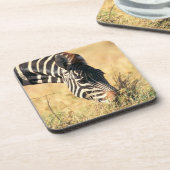Zebra 2 van Burchell Onderzetter (Linkerzijde)