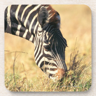 Zebra 2 van Burchell Onderzetter