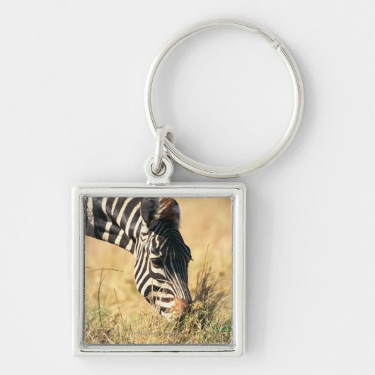 Zebra 2 van Burchell Sleutelhanger (Voorkant)