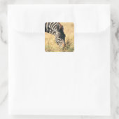 Zebra 2 van Burchell Vierkante Sticker (Tas)