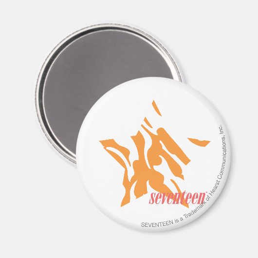 ZEBRA 3 MAGNEET (Voorkant / Achterkant)