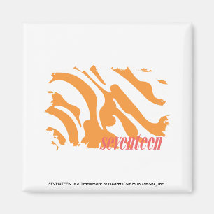 Zebra 4 magneet