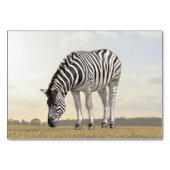 Zebra ABA Tact Labelling Flashcard | KAART AFBEELD (Voorkant)