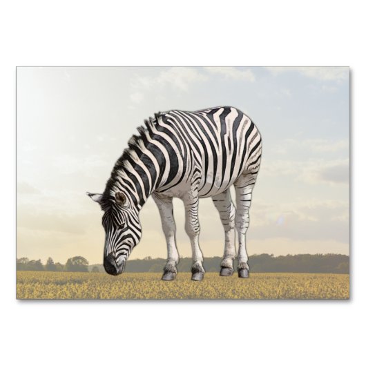 Zebra ABA Tact Labelling Flashcard | KAART AFBEELD (Voorkant)