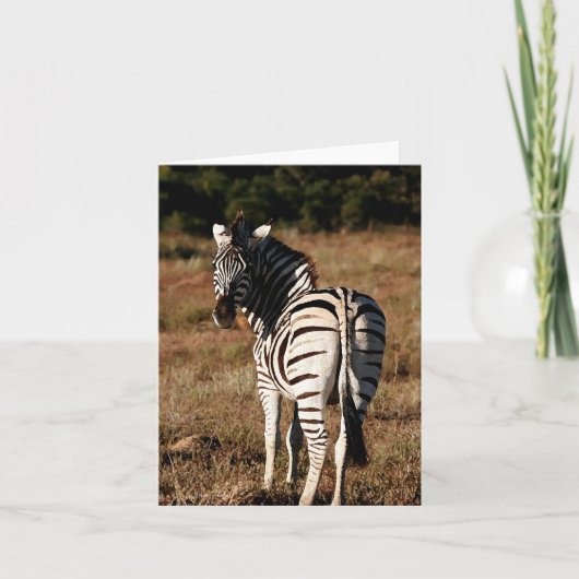 Zebra achter bewerkbaar wenskaart kaart (Voorkant)