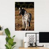 Zebra achter het schilderen poster (Thuiskantoor)