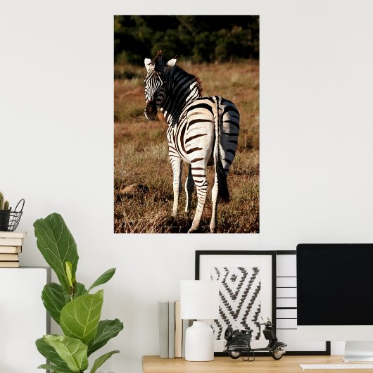 Zebra achter het schilderen poster (Thuiskantoor)