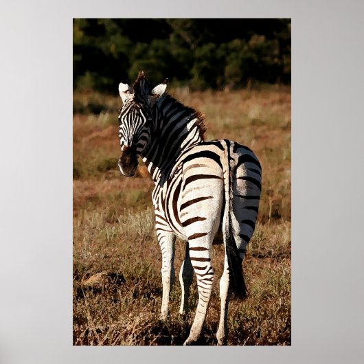 Zebra achter het schilderen poster (Voorkant)