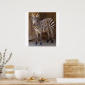 Zebra Afbeelding Poster (Keuken)
