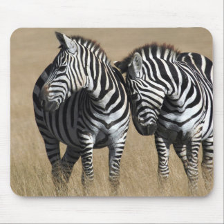 "Zebra-affectie" Muismat