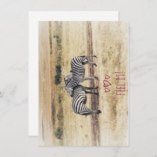 Zebra Affectie, Platte vakantie Kaart (Voorkant / Achterkant)
