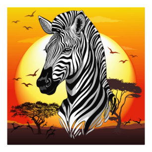 Zebra African Savanna Wild Animal Foto Afdruk