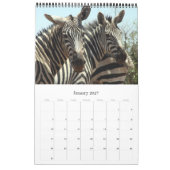 zebra afrika kalender (Jan 2027)