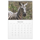 zebra afrika kalender (Mar 2026)