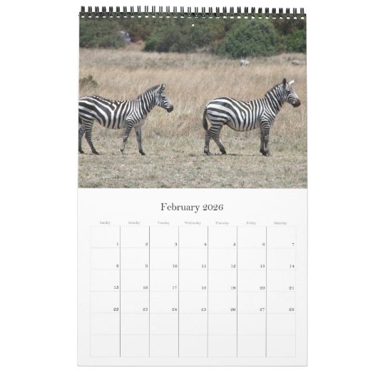 zebra afrika kalender (Feb 2026)