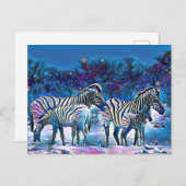 Zebra afrika namibië natuur briefkaart (Voorkant / Achterkant)