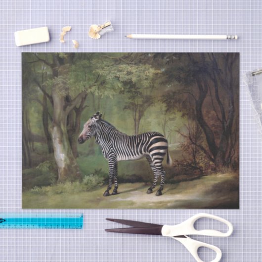 Zebra-Afrikaanse Oerwoud Tissuepapier (Craft)