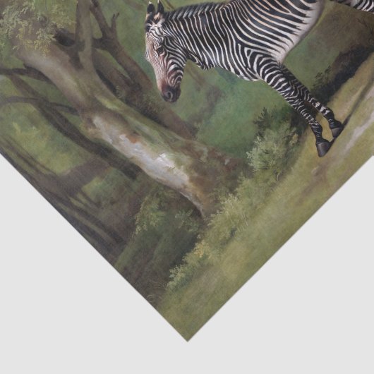 Zebra-Afrikaanse Oerwoud Tissuepapier (Detail)