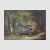 Zebra-Afrikaanse Oerwoud Tissuepapier (Voorkant)