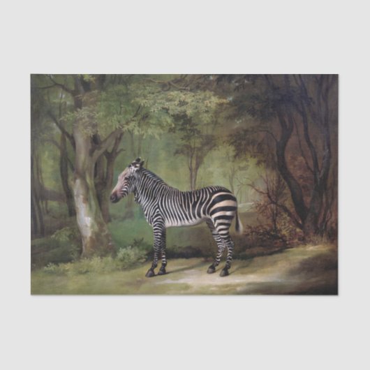 Zebra-Afrikaanse Oerwoud Tissuepapier (Voorkant)