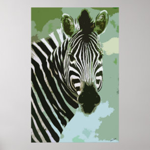 Zebra Afrikaanse Poster in wilde natuur