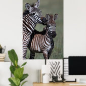 Zebra Afrikaanse Poster in wilde natuur (Thuiskantoor)