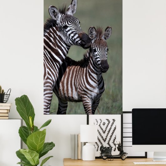 Zebra Afrikaanse Poster in wilde natuur (Thuiskantoor)