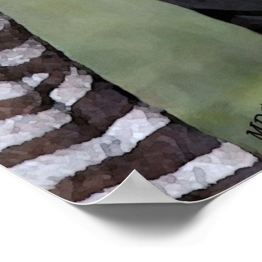 Zebra Afrikaanse Poster in wilde natuur (Hoek)