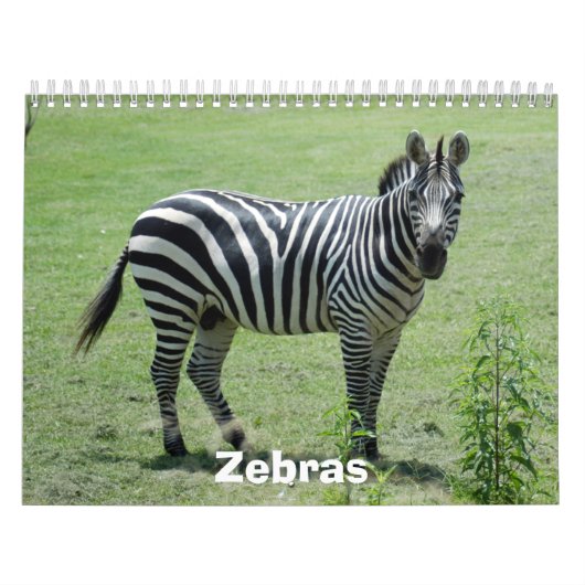 Zebra agenda, Zebras Kalender (Hoes)