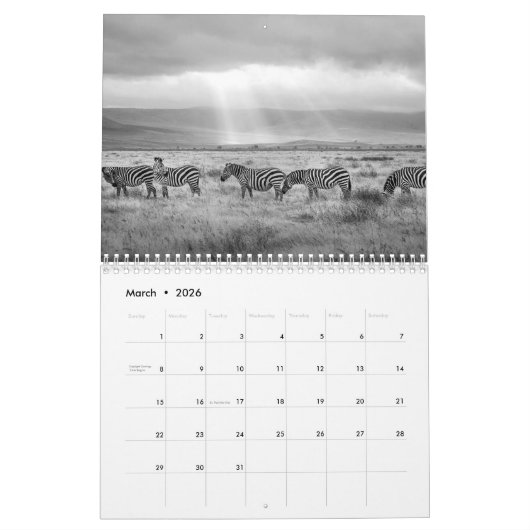 Zebra animal B/W Kalender (Mar 2026)