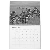 Zebra animal B/W Kalender (Feb 2026)