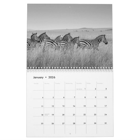 Zebra animal B/W Kalender (Jan 2026)