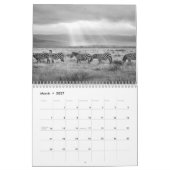 Zebra animal B/W Kalender (Mar 2027)