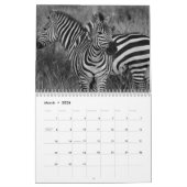 Zebra animal B/W Kalender (Mar 2026)