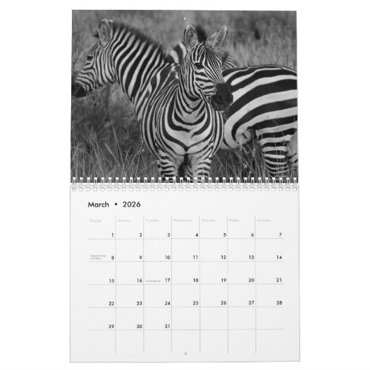 Zebra animal B/W Kalender (Mar 2026)