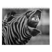 Zebra animal B/W Kalender (Hoes)