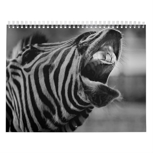 Zebra animal B/W Kalender (Hoes)