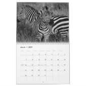 Zebra animal B/W Kalender (Mar 2027)