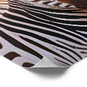 Zebra Animal Natuur Wildlife Affection Caring Poster (Hoek)