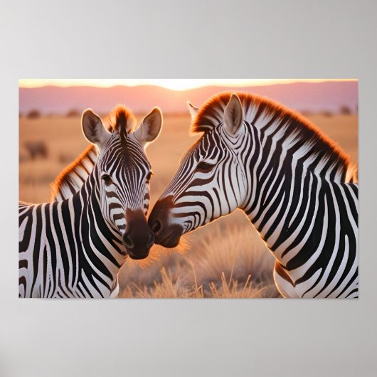 Zebra Animal Natuur Wildlife Affection Caring Poster (Voorkant)