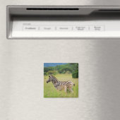 Zebra baby en moeder magneet (Insitu (Vaatwasser))