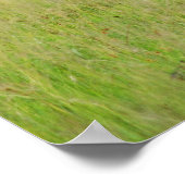 Zebra baby en moeder poster (Hoek)