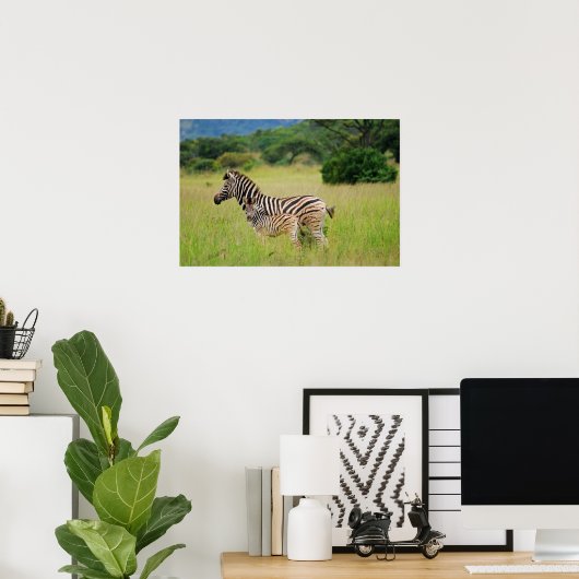 Zebra baby en moeder poster (Thuiskantoor)