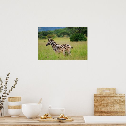 Zebra baby en moeder poster (Keuken)