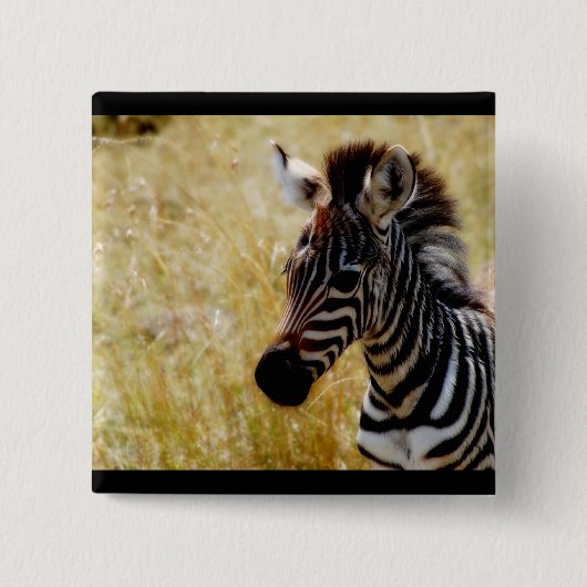Zebra baby voor wilde dieren vierkante button 5,1 cm (Voorkant)