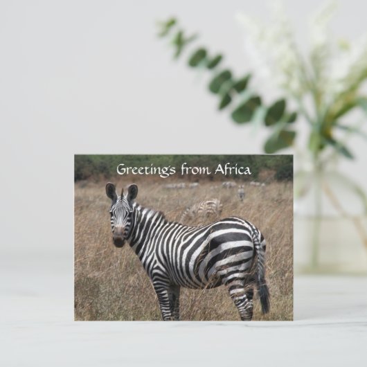 zebra begroeten briefkaart (Staand voorkant)