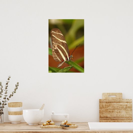 zebra beugvlinder poster (Keuken)